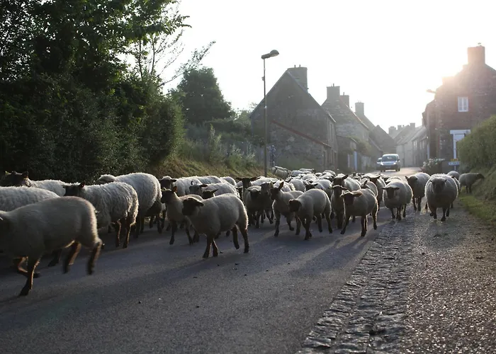 Cosy Ferme De Village En Baie Du Mont Saint Michel