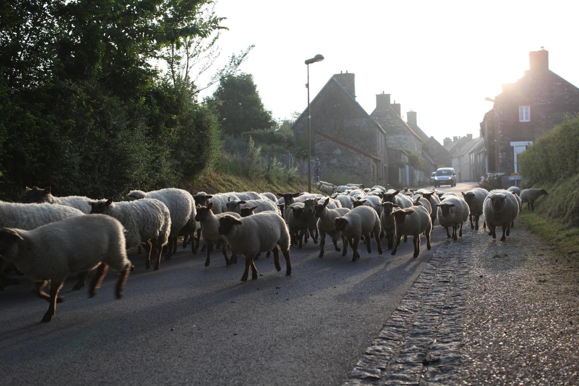 Holiday home Cosy Ferme De Village En Baie Du Mont Saint Michel Vains